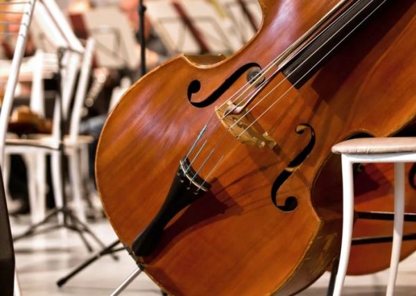 Более 100 музыкальных инструментов российских оркестров передали новым регионам